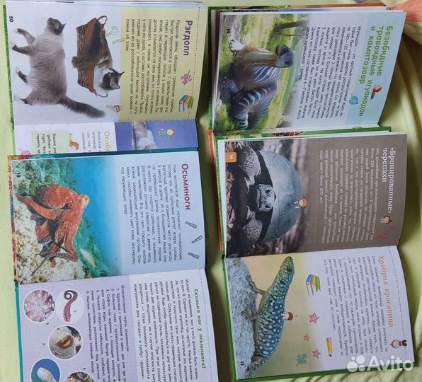 Книги про динозавров и других животных