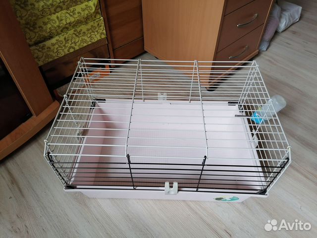 Клетка для морской свинки купить в Москве | Животные и зоотовары | Авито