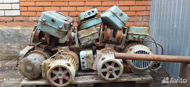 Тельфер болгарский