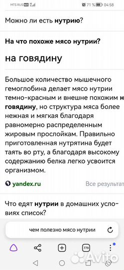 Мясо нутрии