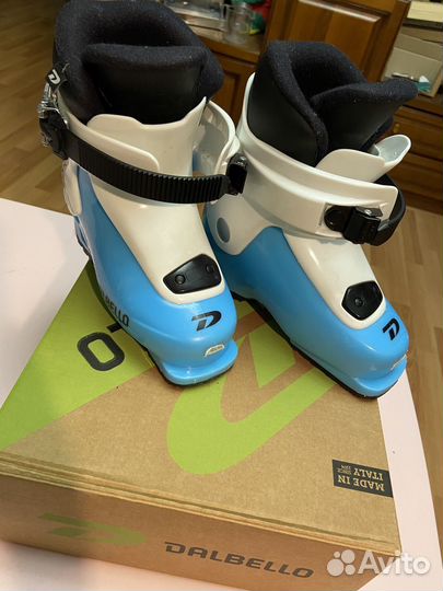 Горные лыжи