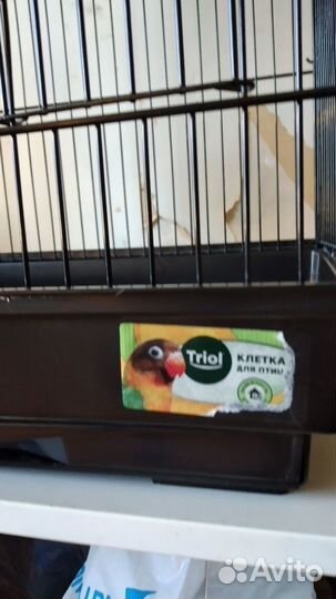 Клетка для больших и средних попугаев