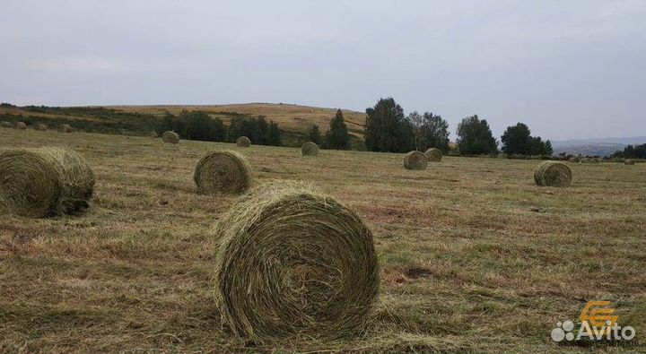 Пресс-подборщик Бежецксельмаш ПР-120, 2023