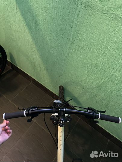 Stinger Laguna Evo SE 26 (2022) /15