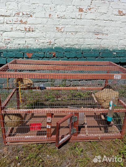 Клетка для птиц