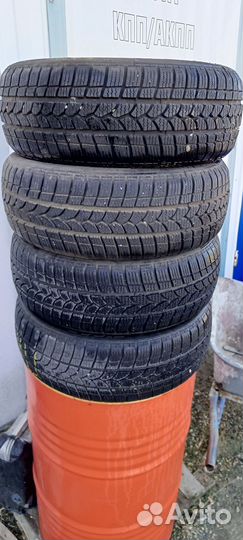 Tigar Winter 1 195/55 R16