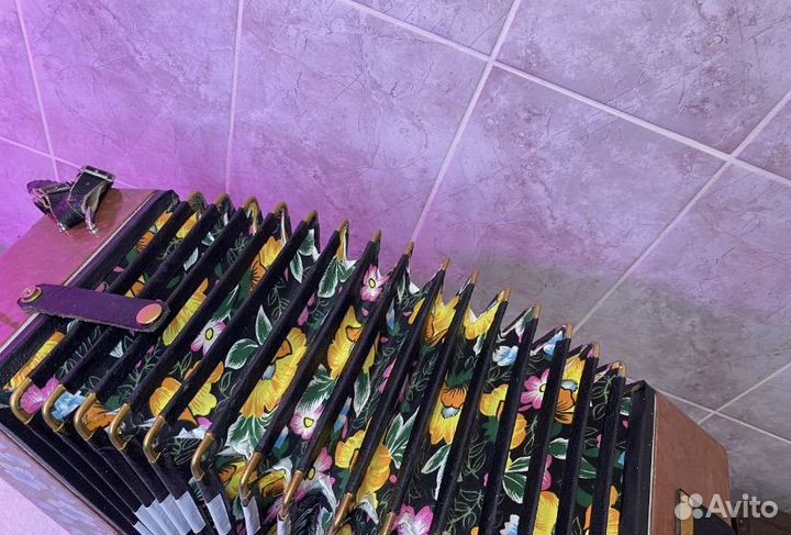 Современная Тульская Красавица 301 М