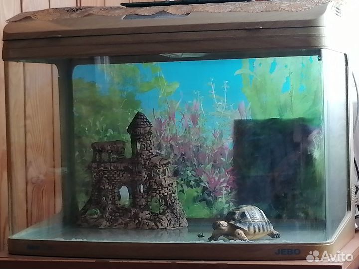Продам аквариум
