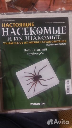 Настоящие насекомые и их знакомые.Полная коллекция