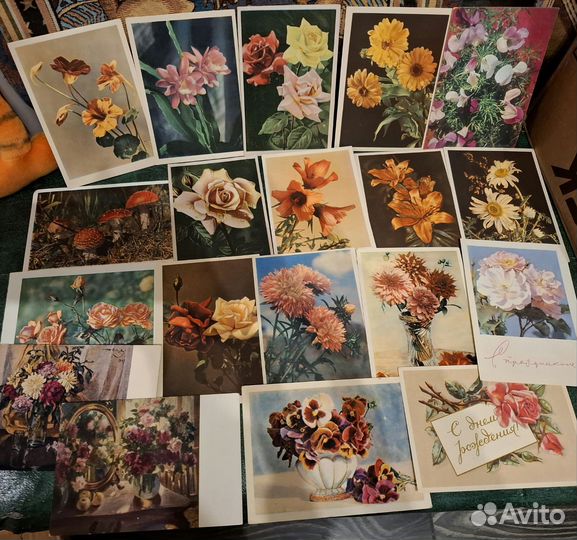 44 старинные открытки цветов, 50-60 годы