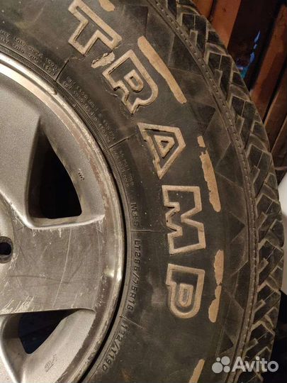 Колесо трамп