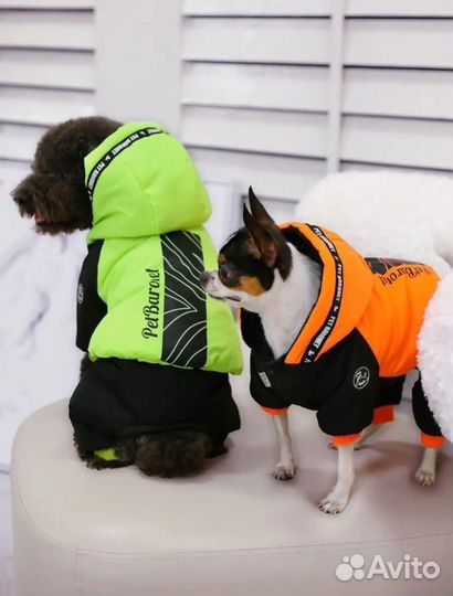 Одежда для собак
