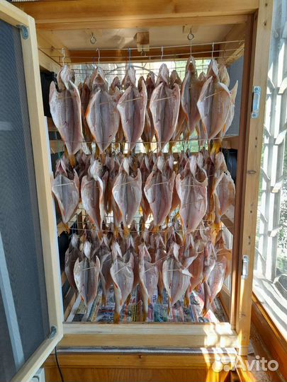 Сушилка для рыбы