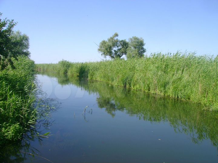 Участок 30 сот. (ИЖС)