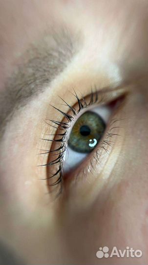 Ламинирование бровей