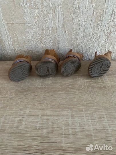 Сапожки для собачки