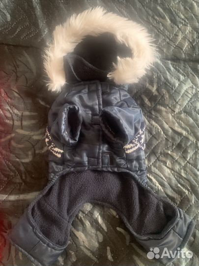 Костюм для собаки