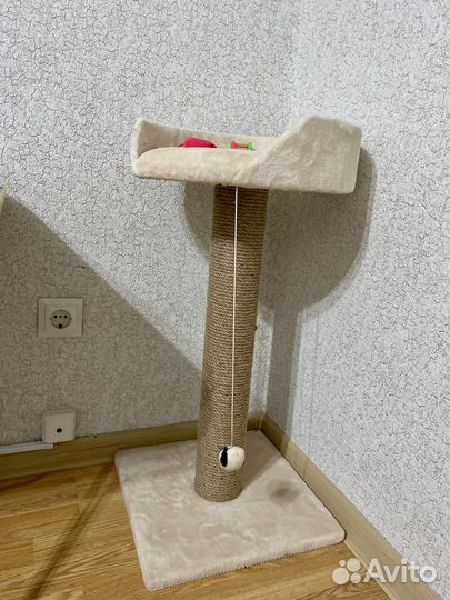 Когтеточка для кошек
