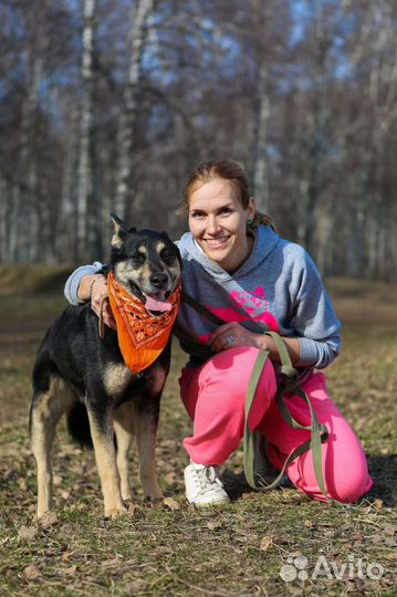 Собаки бесплатно в добрые руки
