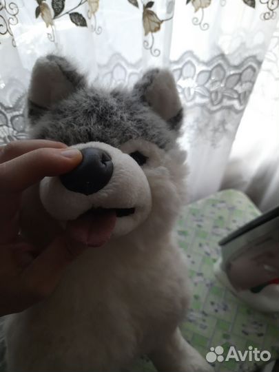 Большая мягкая игрушка хаски собака