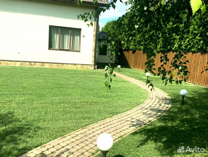 Рулонный газон