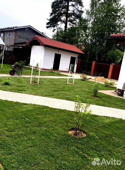 Рулонный газон 