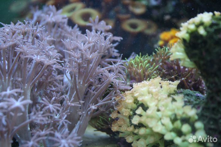 Морской аквариум 3200 литров