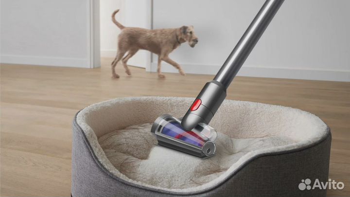 Пылесос Dyson V8 Absolute Оригинал