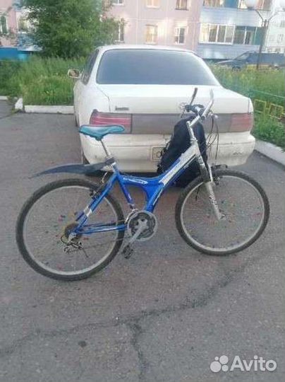 Горник взрослый