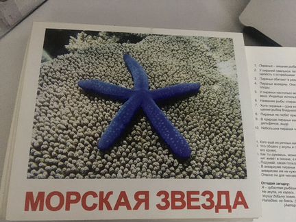 Развивающие карточки