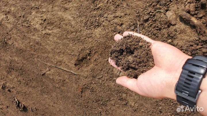 Торфогрунт