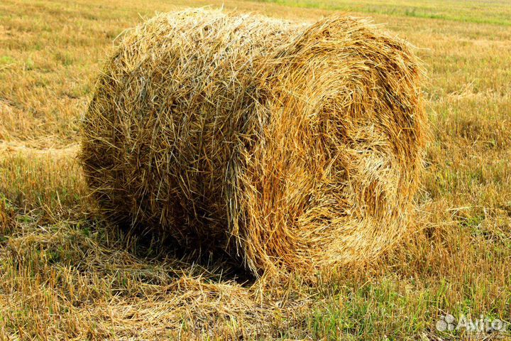 Сено,солома