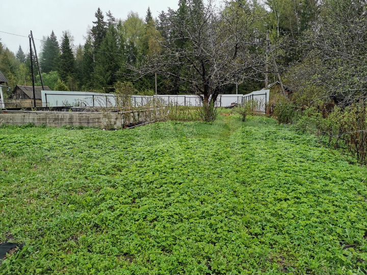 Участок 6 сот. (СНТ, ДНП)