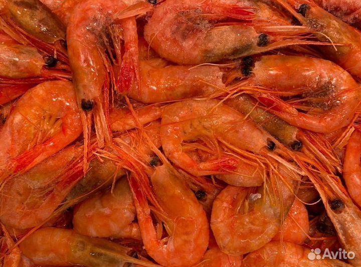 Креветка северная. Свежезамороженные