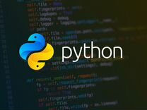 Разработка на python