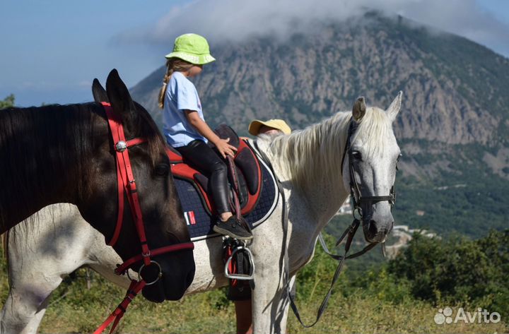 Конные прогулки над Гурзуфом