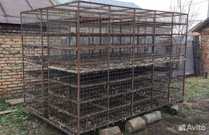Клетка для перевозки кур цыплят утят птиц