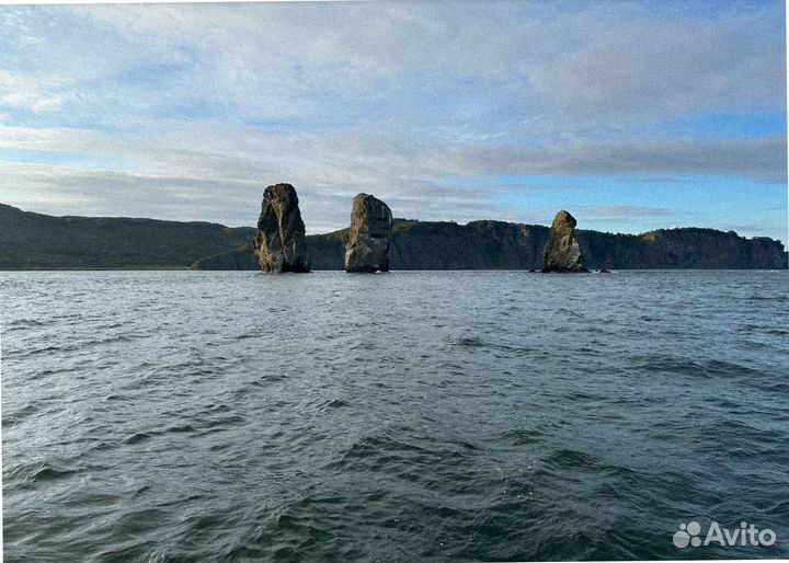 Тур на Камчатку летом программы до 9-ти дн