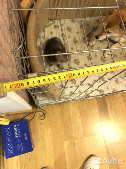Клетка вольер для собак