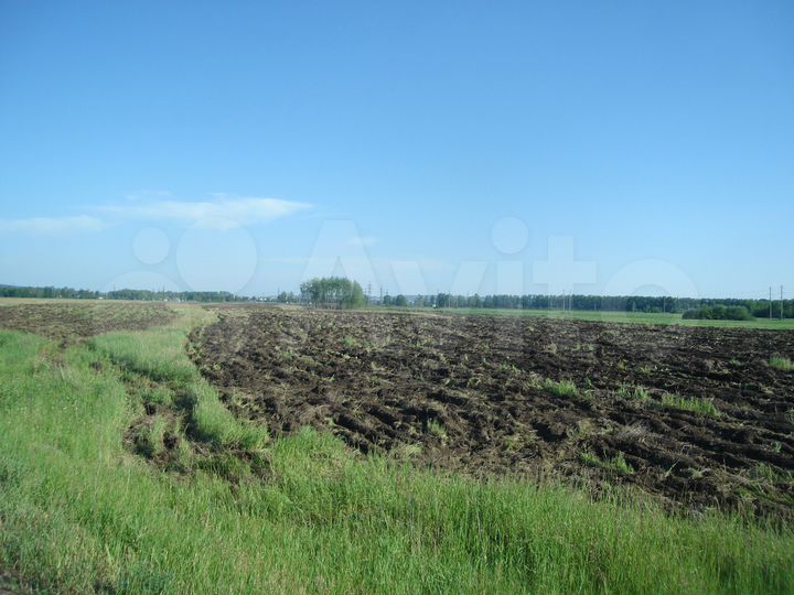 Участок 12,9 га (СНТ, ДНП)