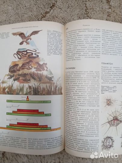 Энциклопедический словарь юного биолога