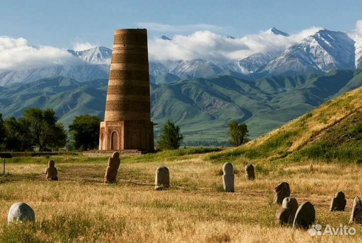 Свой человек в Казахстане, Кыргызстане,Красноярске