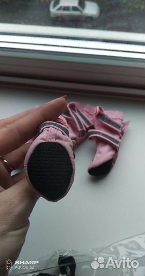 Обувь для собак