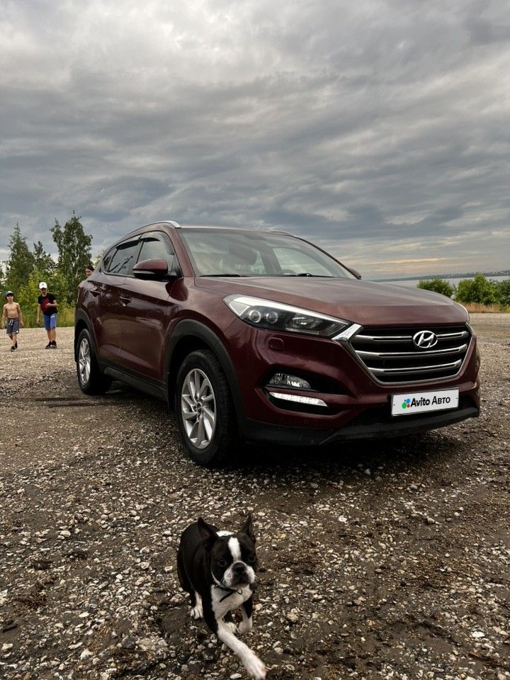 Hyundai Tucson: фото владельца