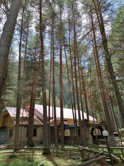 Гостиница, 805 м²