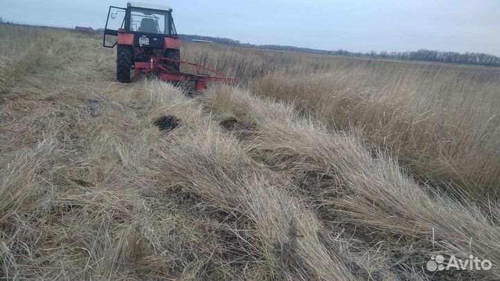 Услуги трактора мтз 82