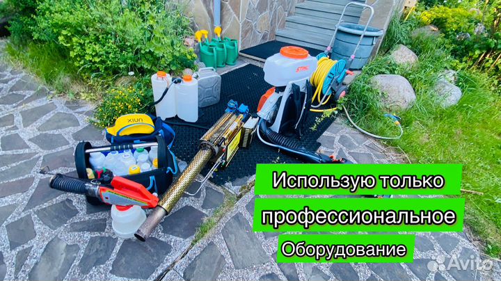 Дезинсекция от тараканов и клопов