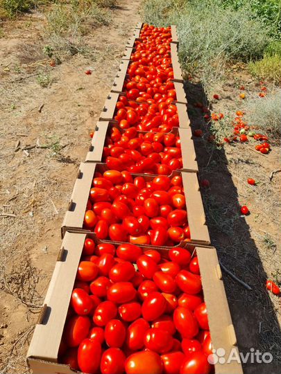 Продаю свое