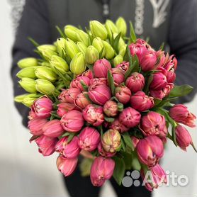 Цены на тюльпаны к 8 марта 2024 года