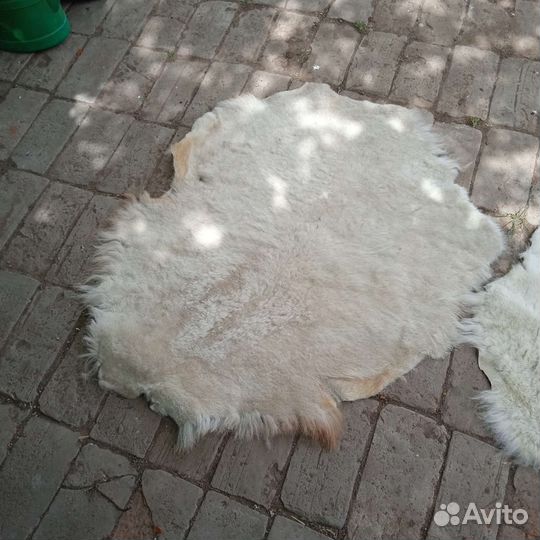 Шкуры выделаная (мех обувной 1000 штук)